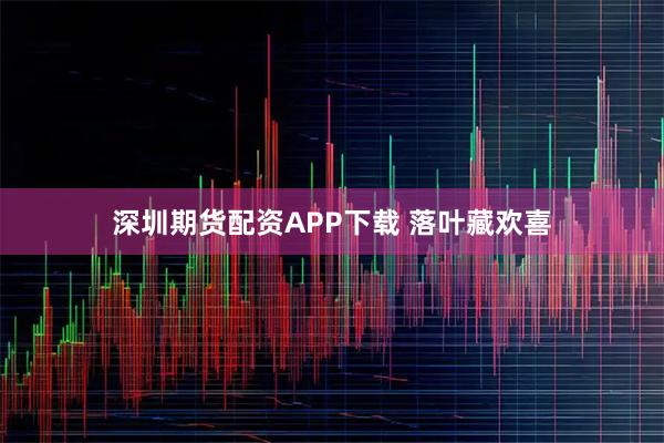 深圳期货配资APP下载 落叶藏欢喜