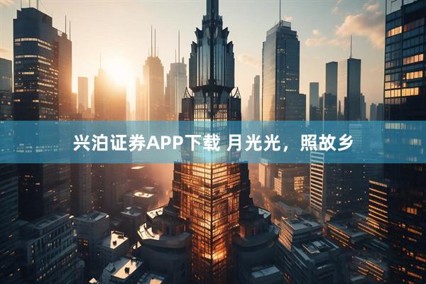 兴泊证券APP下载 月光光，照故乡