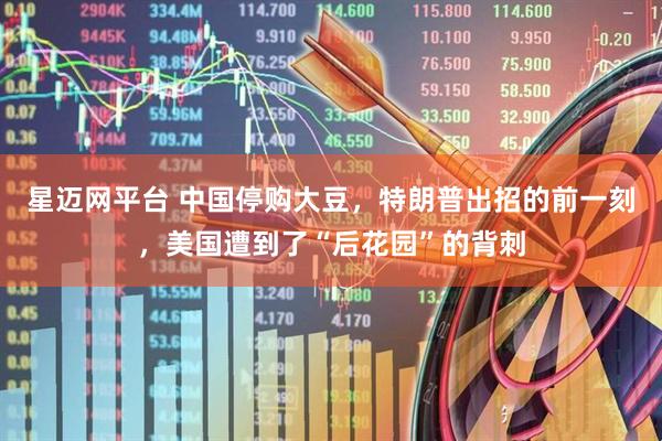 星迈网平台 中国停购大豆，特朗普出招的前一刻，美国遭到了“后花园”的背刺