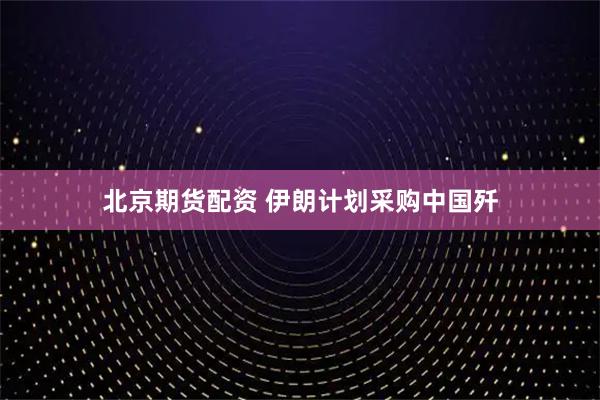 北京期货配资 伊朗计划采购中国歼