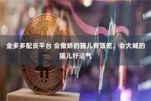 金多多配资平台 会撒娇的猫儿有饭吃，会大喊的猫儿好运气