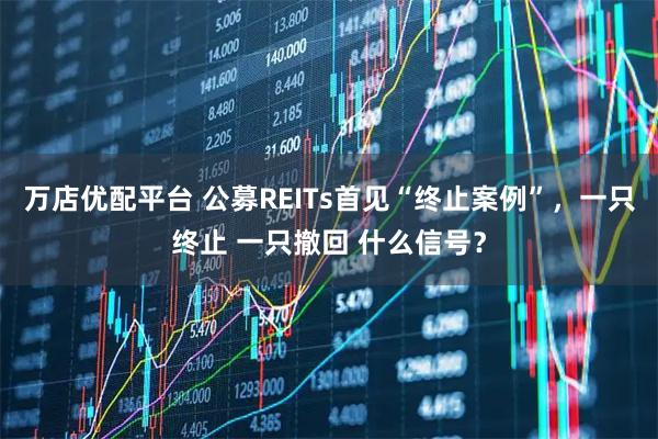 万店优配平台 公募REITs首见“终止案例”，一只终止 一只撤回 什么信号？